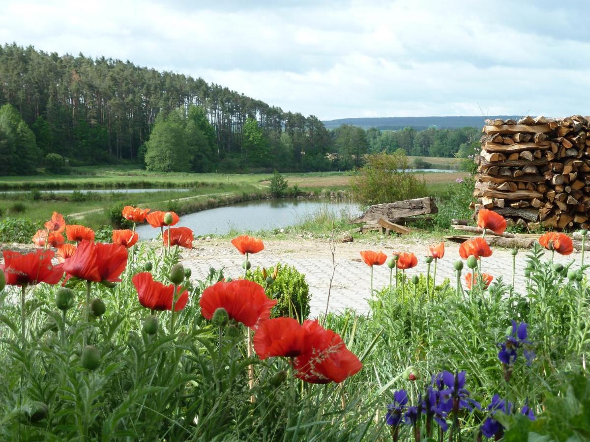Ferienwohnungen Am Buechlhof Im Oberpfaelzer Seenland Neunburg vorm Wald Bagian luar foto
