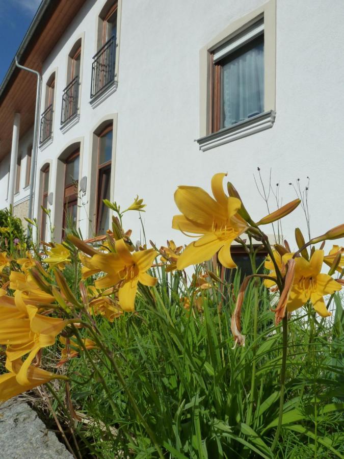 Ferienwohnungen Am Buechlhof Im Oberpfaelzer Seenland Neunburg vorm Wald Bagian luar foto